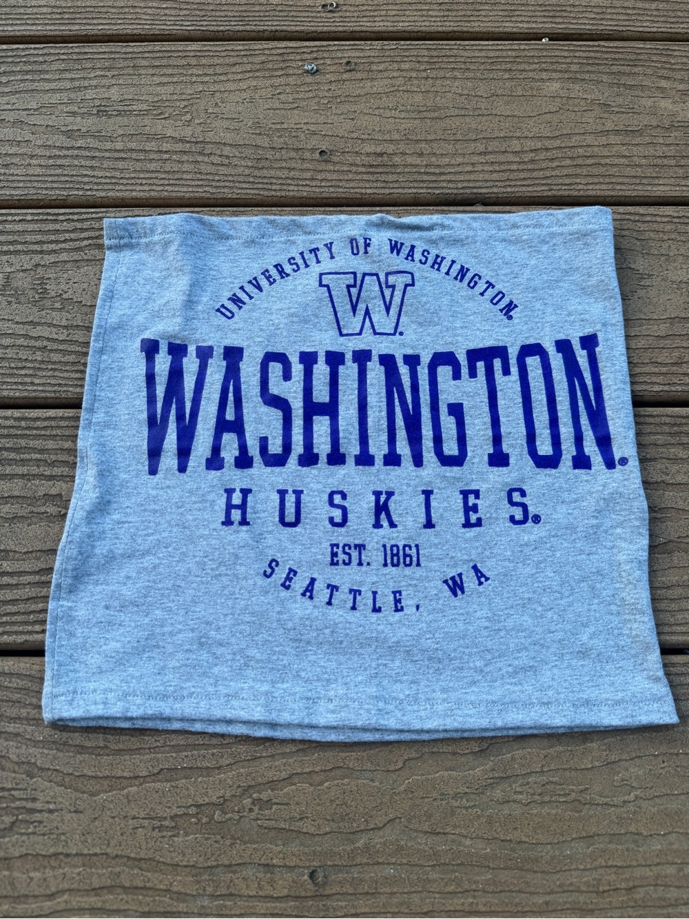 Washington Gray tube Top